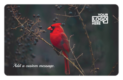 Winter Cardinal