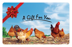 Chickens