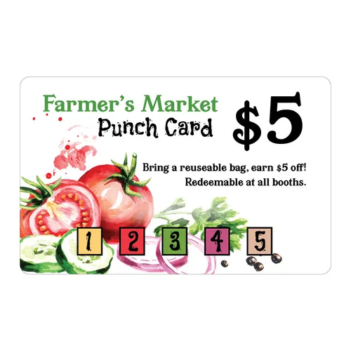 https://dqj17tese79do.cloudfront.net/cardsourc/images/product/eco_category_punchcard_300x300_v2.jpg