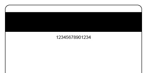 Magnetic Stripe with Encoding
