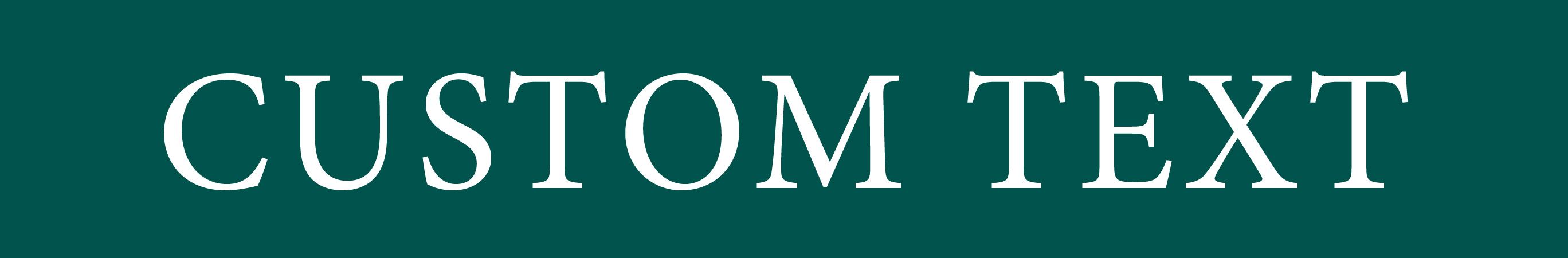 Silver Creek Custom Rider