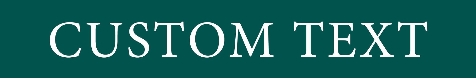 Silver Creek Custom Rider 1