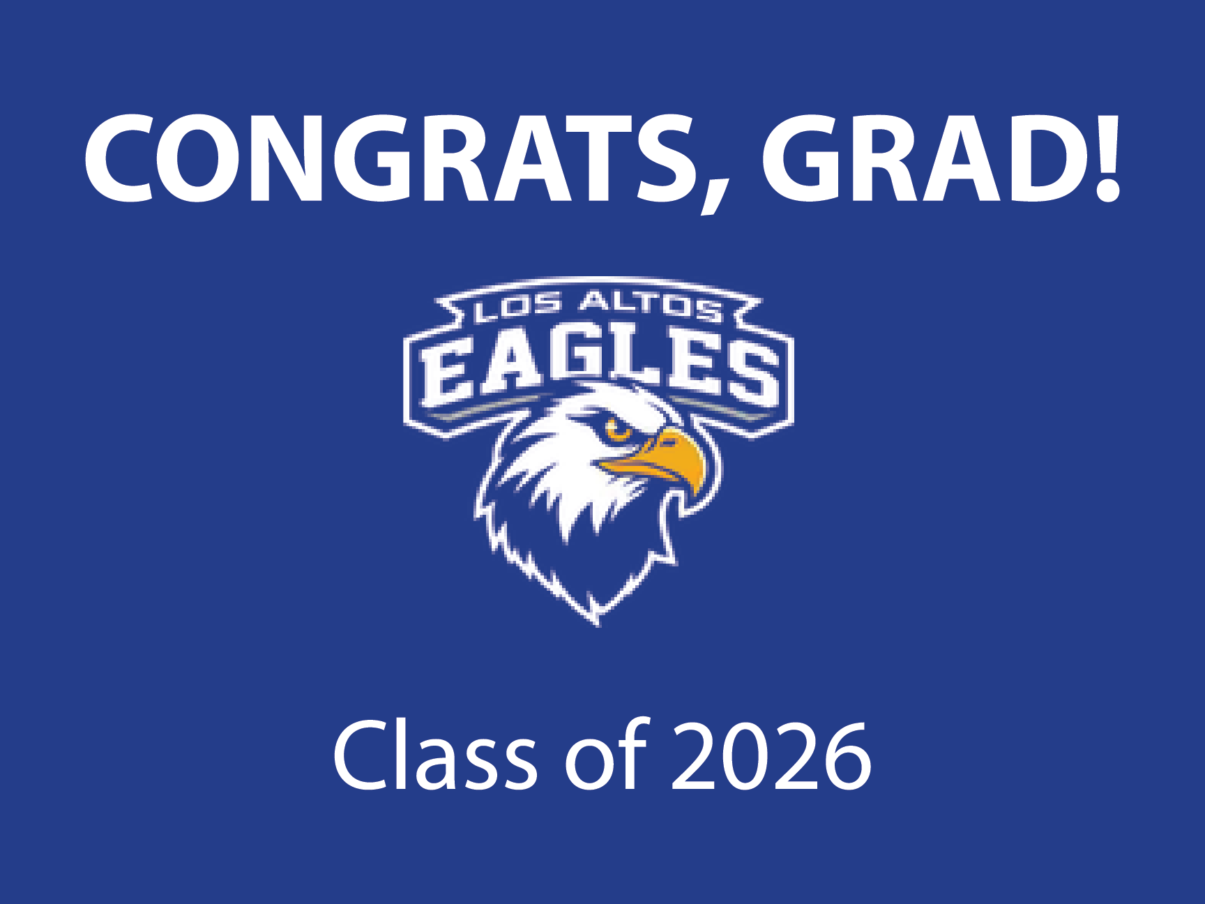 Graduation Yard Signs 2