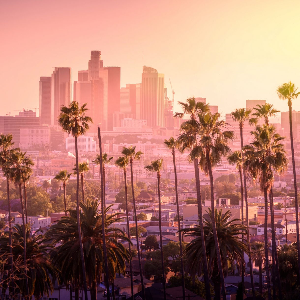 Custom Printing Los Angeles Custom Printing Los Angeles | Light Printing House