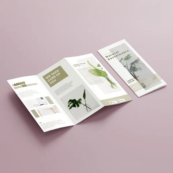 Custom Brochures by Light Printing House