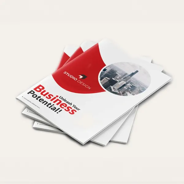 Custom Booklets | Light Printing House