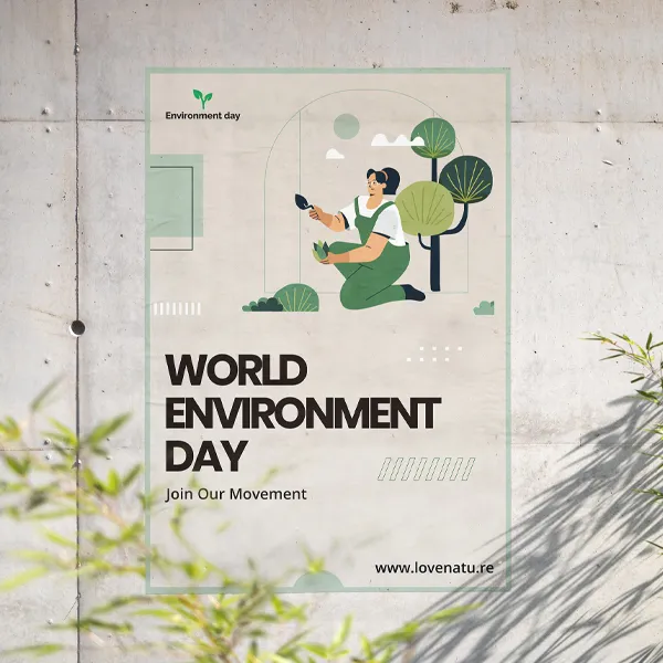 Wall Decals by Light Printing House