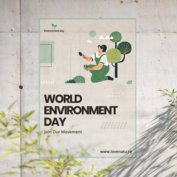 Wall Decals Wall Decals | Light Printing House