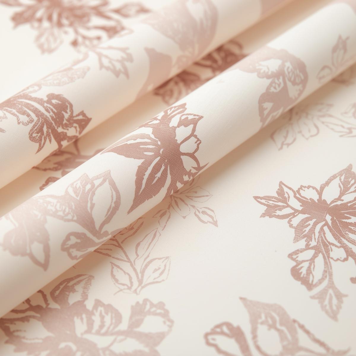 Custom Tissue Paper Printing  Light Printing House