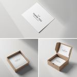 Packaging Inserts Cards  Light Printing House