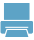 Print Icon