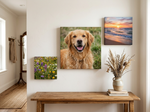 Square canvas wraps as a gallery wall