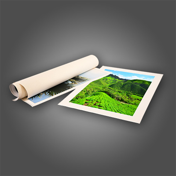 Canvas Prints
