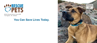 10 window envelope - full bleed