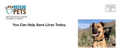 10 window envelope - no bleed