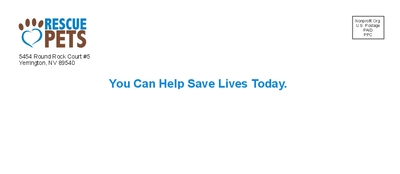 10 window envelope - no bleed