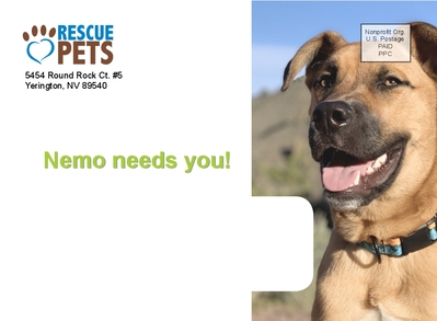 A7 Window Envelope - Full Bleed