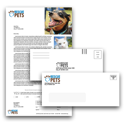 Window Envelope Appeal #10 Window Envelope, Card, Letter & Reply