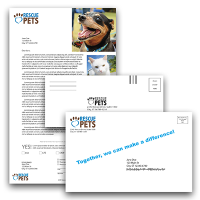 Large Addressed Envelope Match Mailing