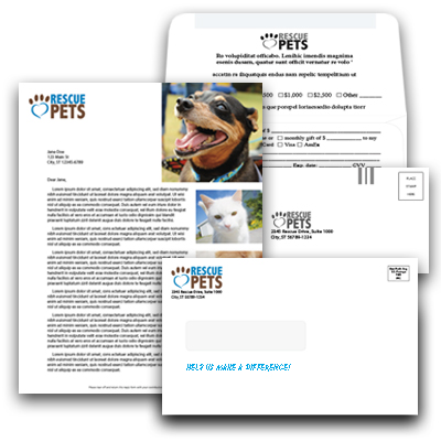 Large Window Envelope with Remit