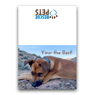 Greeting Cards and Envelopes