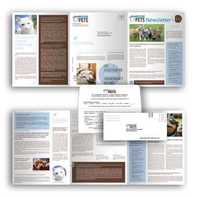 6pg Newsletter with Remit Envelope