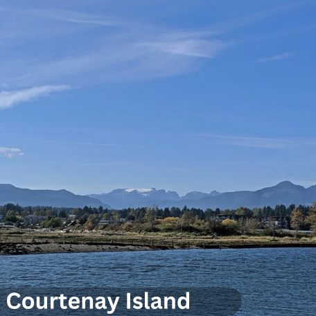 Best Business Printing Service in Courtenay Island Victoria_Island__1__1736241261524.png