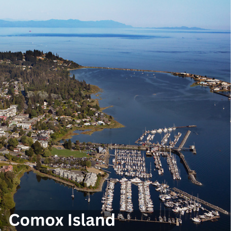 Best Business Printing Service in Comox Island Victoria_Island__2__1736241316125.png