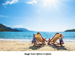 2025 Wall Calendar- 11x17 folds to 8.5 x 11 (Design 2)