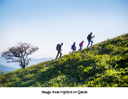 2025 Wall Calendar- 11x17 folds to 8.5 x 11 (Design 2)