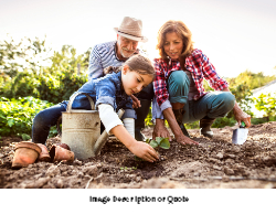 2025 Wall Calendar- 11x17 folds to 8.5 x 11 (Design 2)