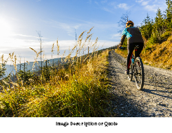 2025 Wall Calendar- 11x17 folds to 8.5 x 11 (Design 2)