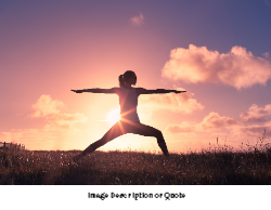 2025 Wall Calendar- 11x17 folds to 8.5 x 11 (Design 2)