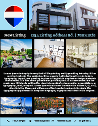 Flyer (Remax - 6)