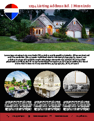 Flyer (Remax - 7)