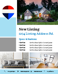 Flyer (Remax - 8)