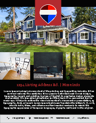 Flyer (Remax - 5)