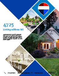 Flyer (Remax - 9)