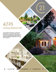 Flyer (Century 21 - 9)