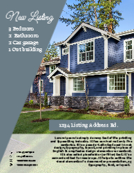Flyer (Independent Agent - 10)