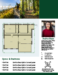 Flyer (Independent Agent- 5)