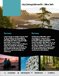 Flyer (Independent Agent - 4)