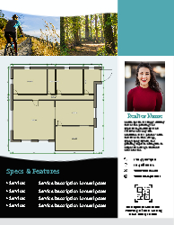 Flyer (Independent Agent - 4)