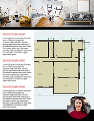 Flyer (Keller Williams - 3)