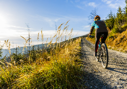 Desk calendar, spiral-bound with self stand (Design 4)