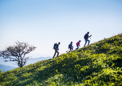Desk calendar, spiral-bound with self stand (Design 4)