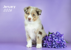 Desk calendar, spiral-bound with self stand (Design 3)