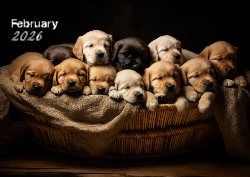 Desk calendar, spiral-bound with self stand (Design 3)