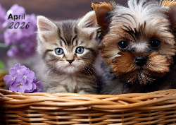 Desk calendar, spiral-bound with self stand (Design 3)