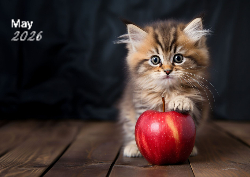 Desk calendar, spiral-bound with self stand (Design 3)